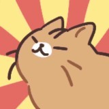 shark_chili