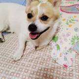 cloudhan